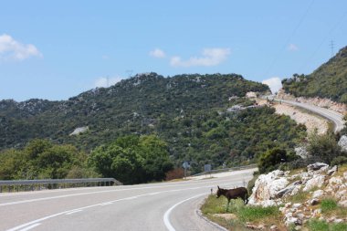 Dar dağ asfalt yol. Eşek yolun kesiştiği