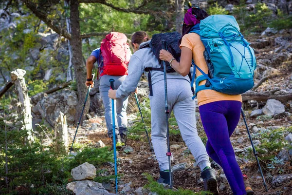 Montañismo. Tres personas van cuesta arriba con bastones de trekking y mochilas . — Foto de Stock