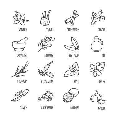 Baharat ve baharat ince çizgi web simgeler