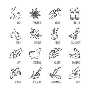 Baharat ve baharat web simgeleri anahat