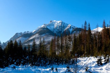 Kışın Tatra dağları çok kar yağar.