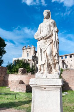 Roma, İtalya 'daki Roma Forumundaki yıkılmış Vesta tapınağı..