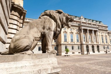 BUDAPEST, HUNGARY - 24 Nisan 2020: Buda Şatosu (Kraliyet Sarayı) iç avlusu, Budapeşte, Macaristan