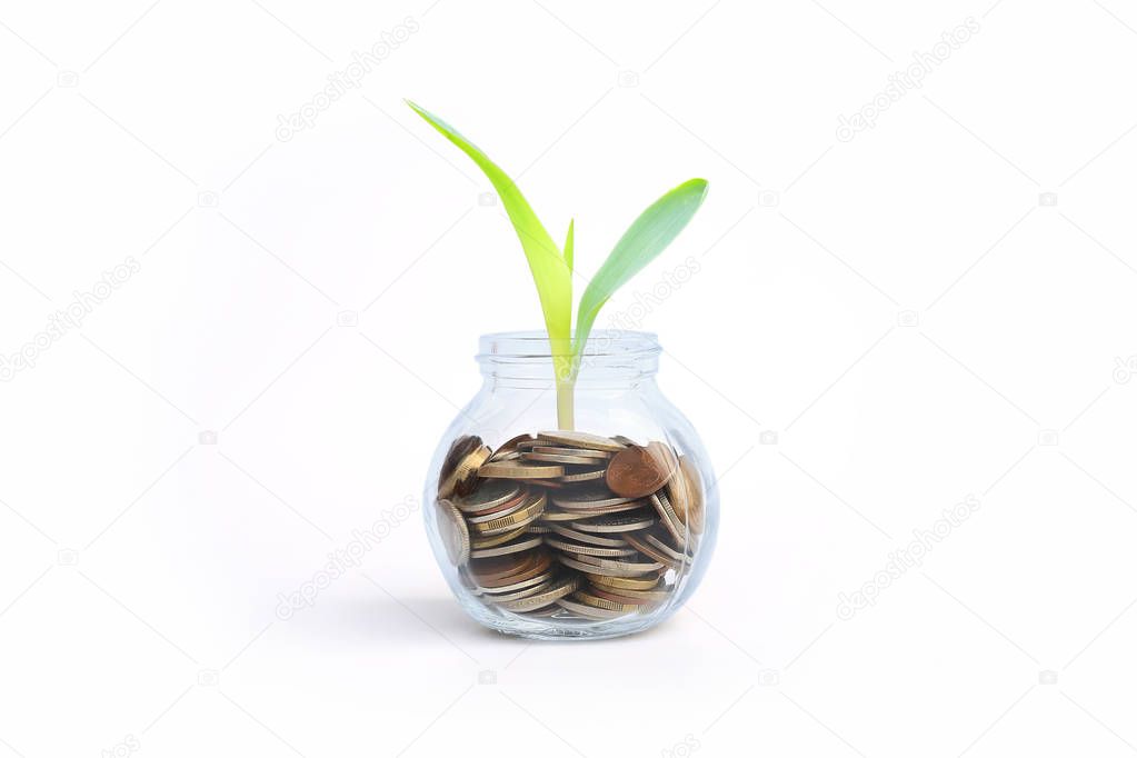 coins and plant in bottle