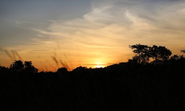 Doğa günbatımı çimen çiçek