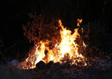 Çim yanan alevler ateş