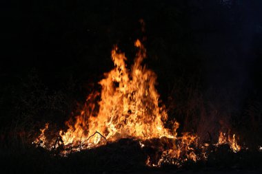 Çim yanan alevler ateş