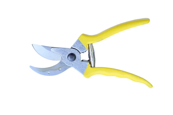 A Gardening scissor — Stock Photo, Image