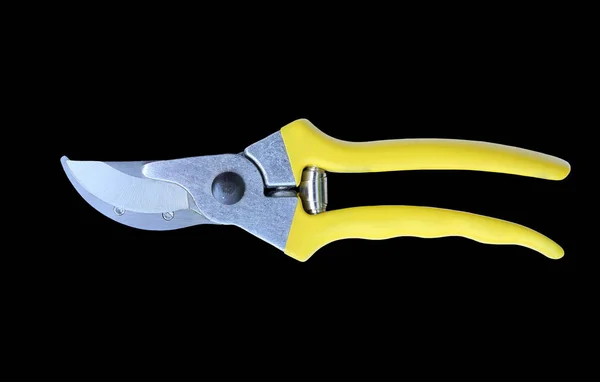 A Gardening scissor — Stock Photo, Image