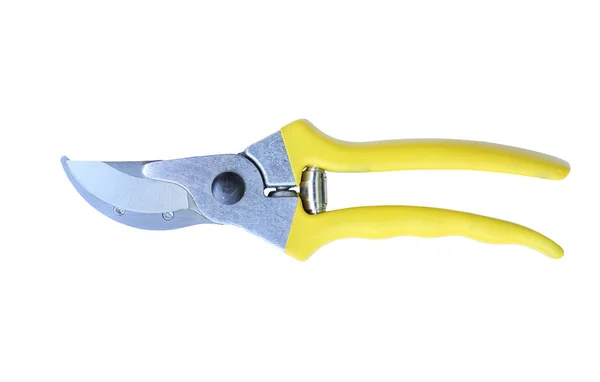 A Gardening scissor — Stock Photo, Image