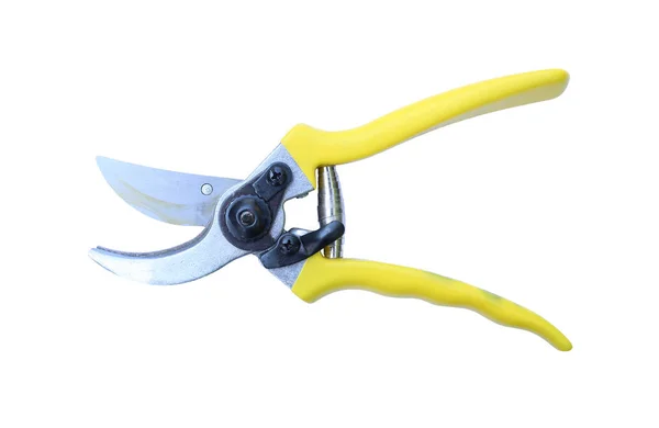 A Gardening scissor — Stock Photo, Image