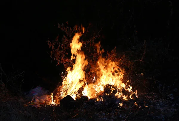 Eldslågor brinnande gräs — Stockfoto