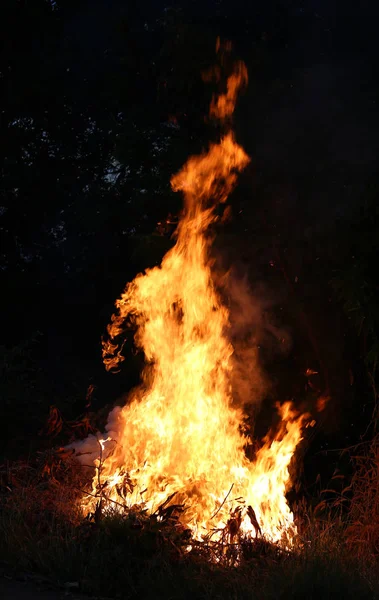 Brand vlammen verbranden van gras — Stockfoto