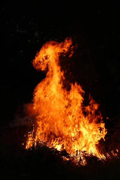 Φωτιά φλόγες, καίγοντας χόρτο — Φωτογραφία Αρχείου