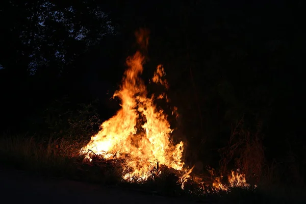 Вогняне полум'я горить траву — стокове фото