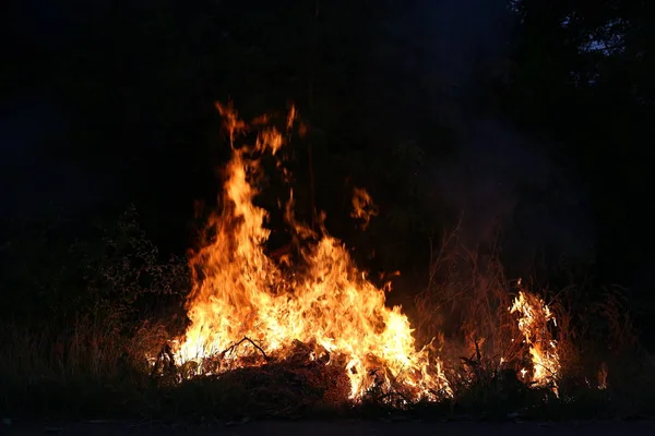 Fiamme di fuoco che bruciano erba — Foto Stock