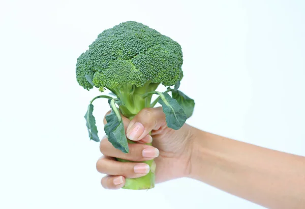 Mulher mão segurando brócolis fresco no fundo branco — Fotografia de Stock