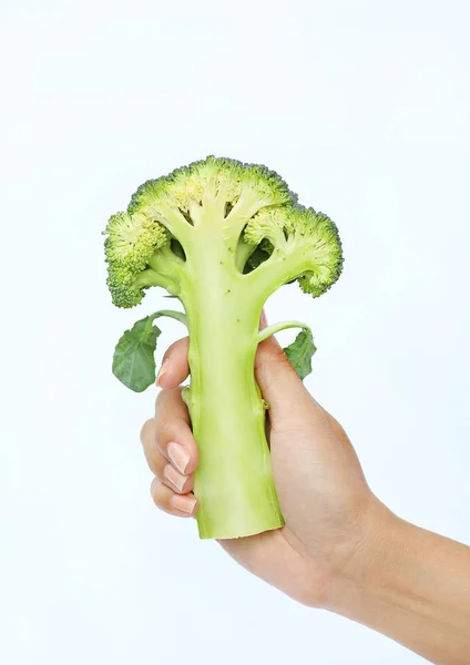 Mulher mão segurando Bunch de brócolis verde fresco no fundo branco — Fotografia de Stock