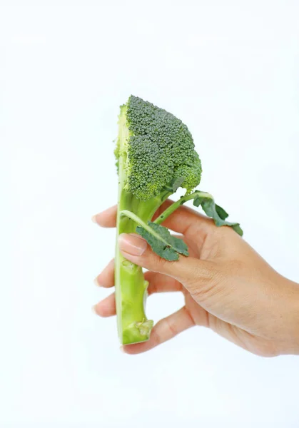 Mulher mão segurando Bunch de brócolis verde fresco no fundo branco — Fotografia de Stock