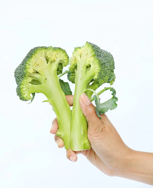 Mano donna che tiene in mano un mazzo di broccoli verdi freschi su sfondo bianco — Foto Stock