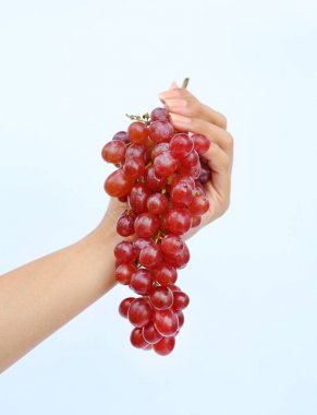 Grup kırmızı üzüm beyaz arka plan üzerinde tutan el.