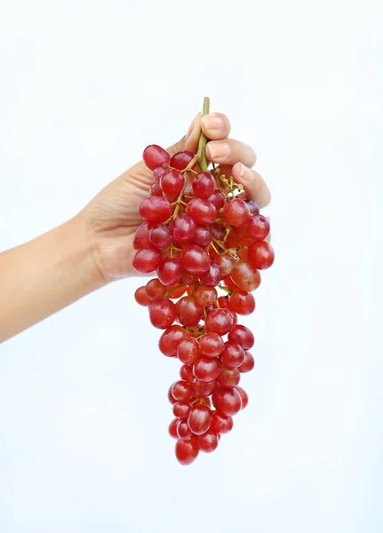 Hand hält Haufen rote Trauben auf weißem Hintergrund. — Stockfoto