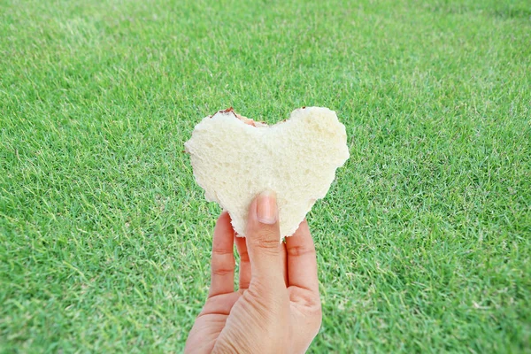Hand holding bite bread with shape of love on green grass background