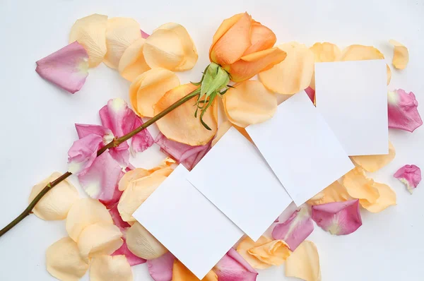 Empty notepaper with rose flower and petals on wooden. — Stock Photo, Image