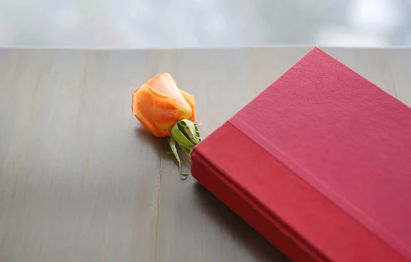 Flor rosa e capa dura vermelha . — Fotografia de Stock