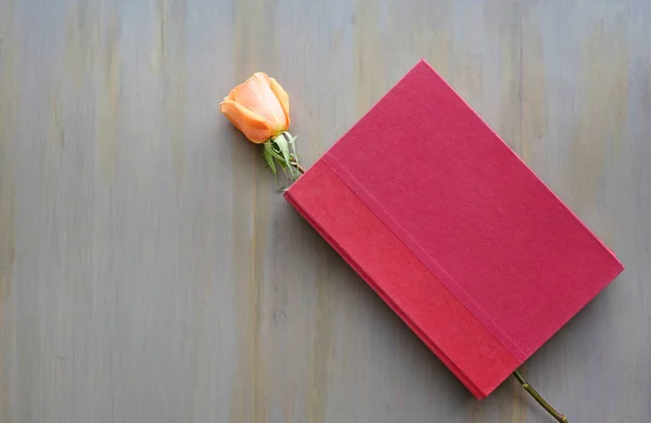 Rosenblüte und roter Hardcover. — Stockfoto