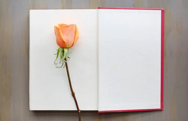 Квітка троянди і відкрита червона книжка твердого покриття біля вікон . — стокове фото