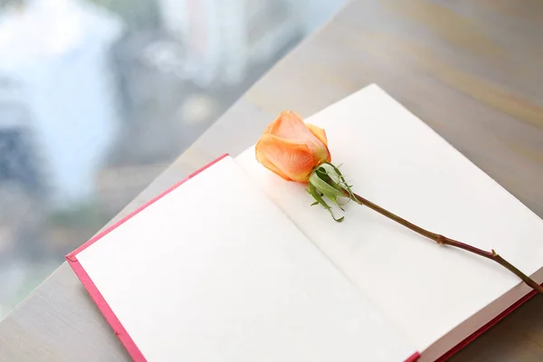Τριαντάφυλλο λουλούδι και ανοίξτε κόκκινο βιβλίο με σκληρό εξώφυλλο κοντά παράθυρα. — Φωτογραφία Αρχείου