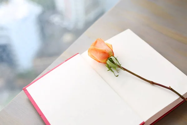 Rose flower and open red hardcover book near windows. — Stock Photo, Image