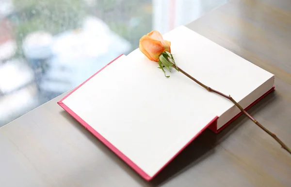 玫瑰一朵和打开窗户附近的红色精装书. — 图库照片