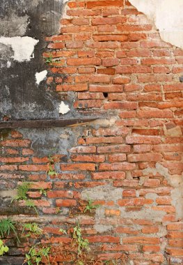 eski tuğla duvar doku ve ağaç.