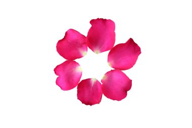 Beyaz arka plan üzerinde izole pembe gül yaprakları çemberi.