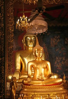 Güzel Buda heykeli altın ve Wat Bovoranives Tay Sanat Mimarlık.