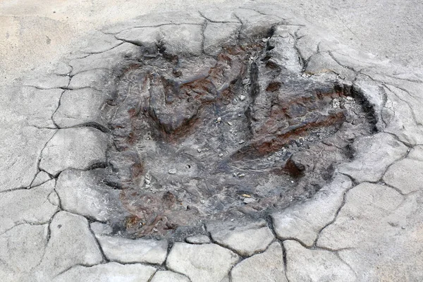 Modelo de pegadas de dinossauros no chão de cimento — Fotografia de Stock