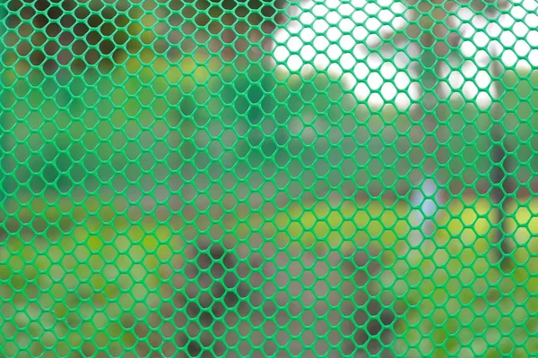Valla de rejilla de color verde jardín —  Fotos de Stock