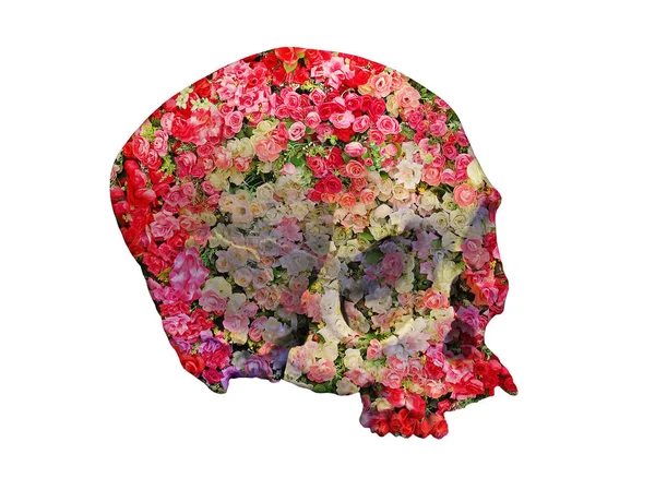 Crâne avec des roses dans le style double exposition . — Photo