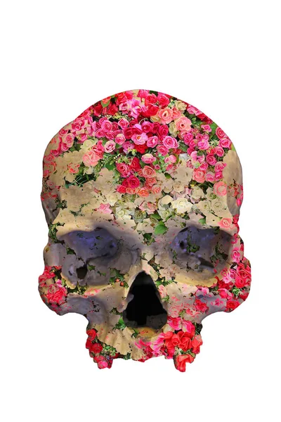 Totenkopf mit Rosen im Doppelbelichtungsstil. — Stockfoto