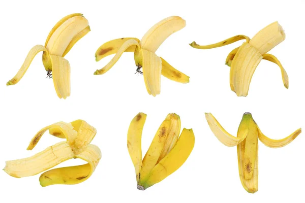 Sammlung von Bananen und Haut isoliert auf weiß — Stockfoto