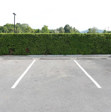 Kamu parkında park alanı.