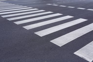 Zebra yoldan karşıya geçiyor.