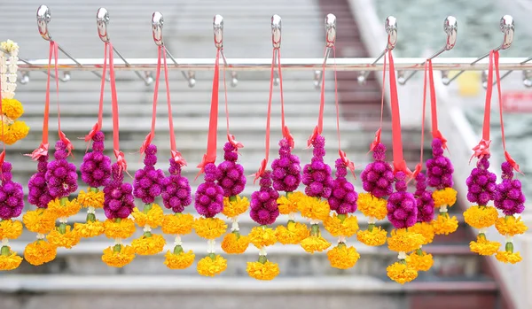 Garlands hanging, amaranth and marigold flower — Stock Photo, Image