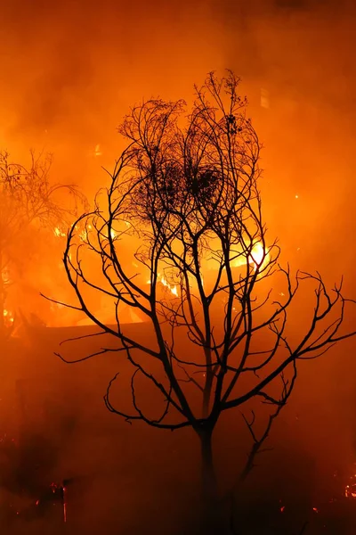 Imagem da árvore queimada e da casa abandonada na cidade ao entardecer — Fotografia de Stock