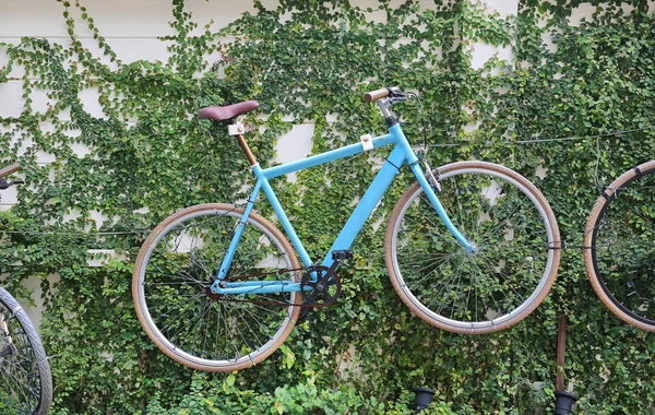 Bicycle decoration on the wall covered with ivy in Bangkok, Thailand — Stock Photo, Image