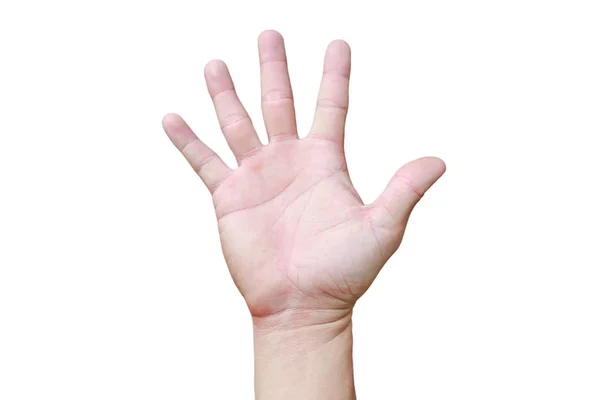 Een hand toont in signaal van papier of nummer vijf op witte achtergrond. — Stockfoto
