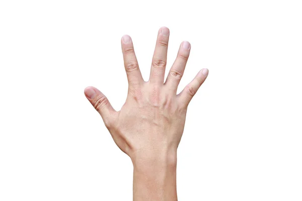 Een hand toont in signaal van papier of nummer vijf op witte achtergrond. — Stockfoto