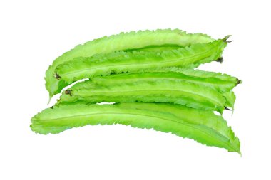 Tay kanatlı fasulye beyaz arka plan üzerinde